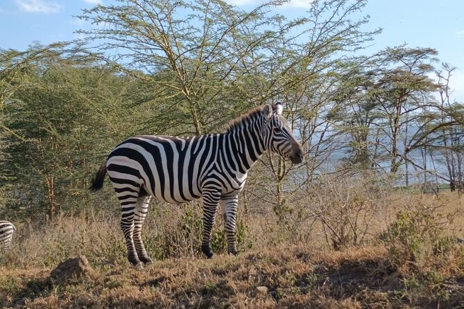 Private Lake Nakuru Day Tour From Nairobi - Cancellation Policy