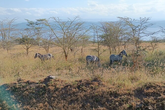 Private Lake Nakuru Day Tour From Nairobi - Booking Details