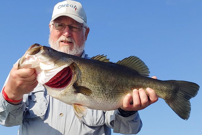 Private Lake Tohopekaliga Fishing Charter in Kissimmee - Pricing and Booking