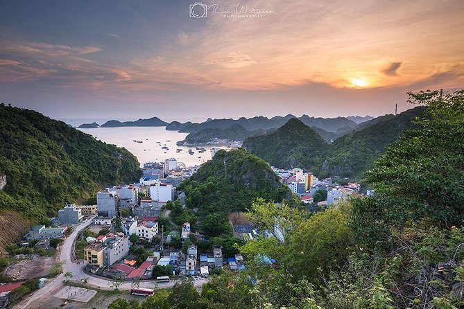 Private Lan Ha Bay Cruise 2D1N - Dining Options