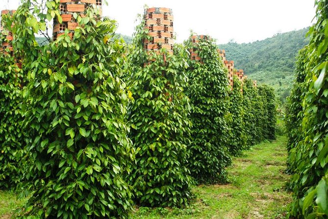 Private Land Tour & Cable Car in the South of Phu Quoc Island - Common Questions