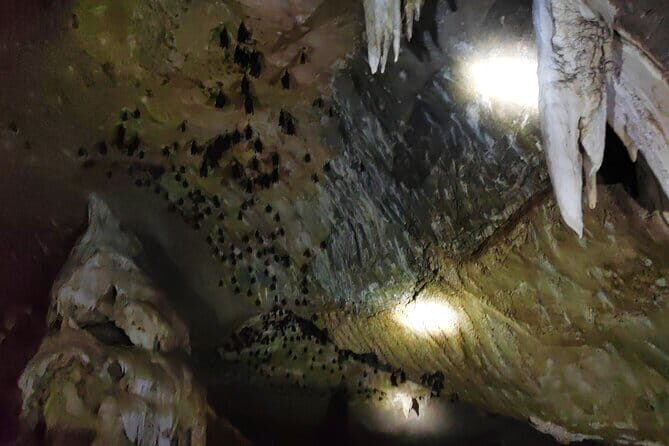 Private Langkawi Mangrove Forest Boat Tour Tg Rhu with Lunch - Exploring the Itinerary in Detail