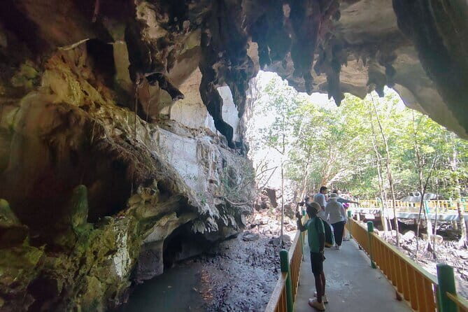 Private Langkawi Mangrove Forest Boat Tour Tg Rhu with Lunch - The Sum Up