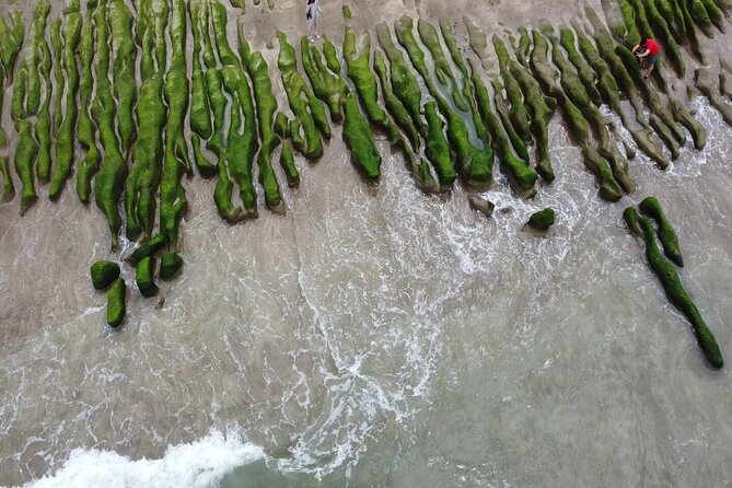 Private Laomei Green Reef Day Tour From Taipei - Transportation Options