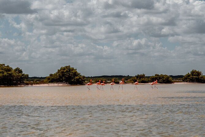 Private Las Coloradas and Ria Lagartos Tour - Good To Know