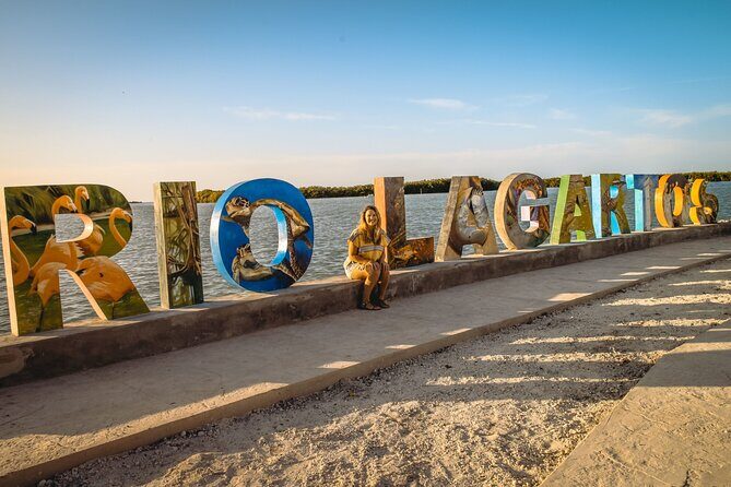 Private Las Coloradas and Ria Lagartos Tour - Starting Off: Pickup and Transport