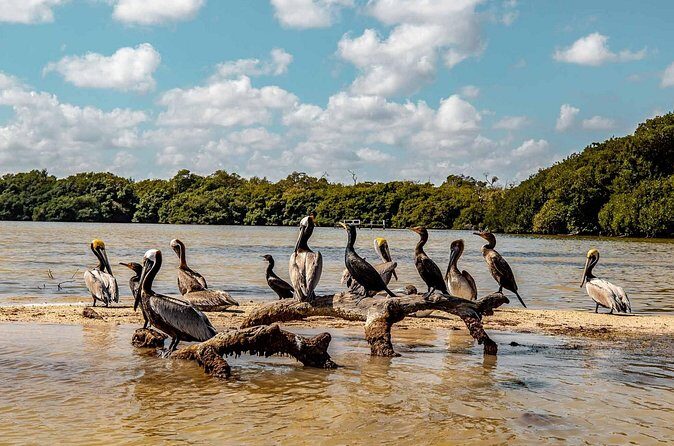 Private Las Coloradas and Ria Lagartos Tour - The Experience on the Water