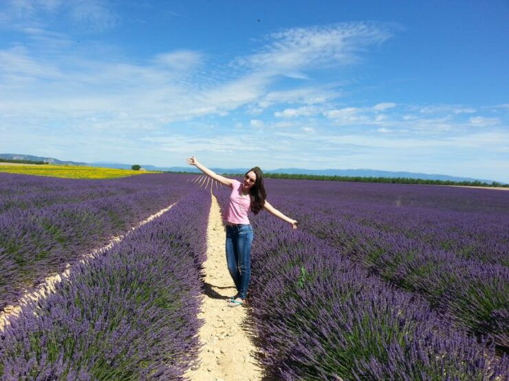 Private Lavender of Provence Tour - Activity Details and Options