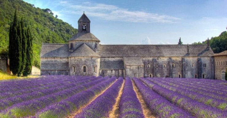Private Lavender of Provence Tour - Experience Highlights