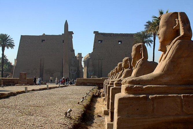 Private Layover Tour From Luxor Airport to Luxor East and West Banks With Lunch - Traveler Participation