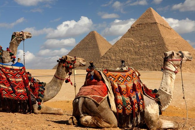 Private Layover Tour to Cairo Highlight Sightseeing From Cairo Airport - Tour Inclusions