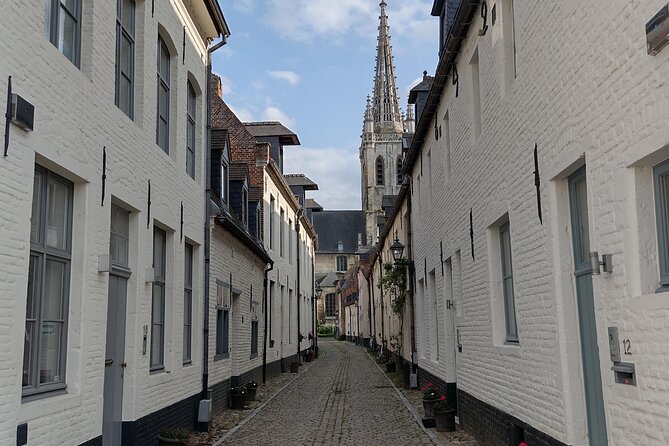 Private Leuven Tour: History, Heritage and Food - Cultural Experiences