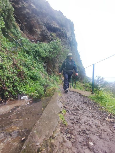 Private - Levada Do Moinho Guided Hike - Activity Details
