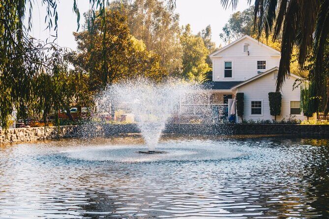 Private Limo Wine Tours in Sonoma and Napa Valley - Authentic Experiences and What Reviewers Say