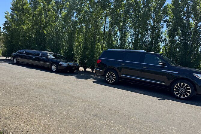 Private Limo Wine Tours in Sonoma and Napa Valley - Who Should Consider This Tour?