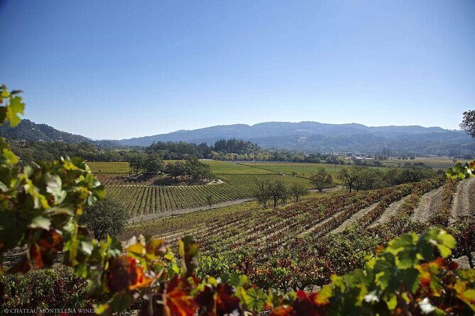 Private Limo Wine Tours in Sonoma and Napa Valley - FAQ