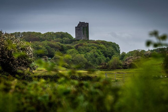 Private Limousine Hire Cliffs of Moher Day Tour - Exclusive Sightseeing Opportunities