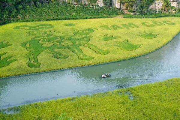 PRIVATE LIMOUSINE LUXURY :VISIT HOA LU, TAM COC, BICH DONG - Visit Hoa Lu Temples