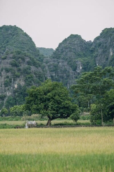 PRIVATE LIMOUSINE LUXURY :VISIT HOA LU, TAM COC, BICH DONG - Inclusions and Amenities