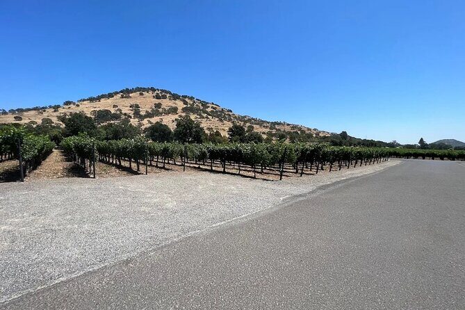 Private Limousine Tour of Napa or Sonoma Valley - The Sum Up