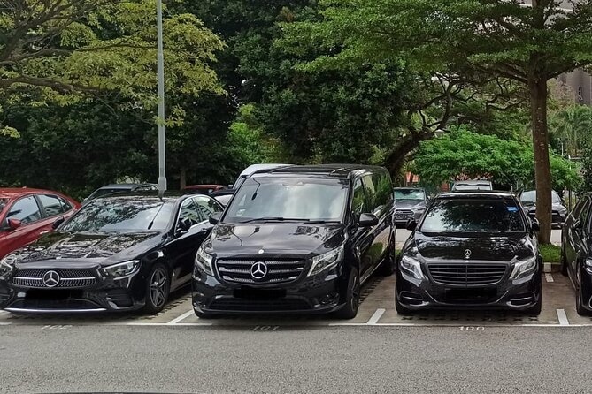 Private Limousine Transfer in Singapore - Additional Information and Expectations