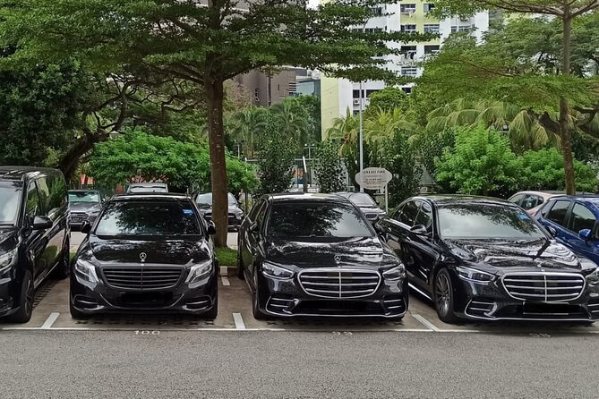 Private Limousine Transfer in Singapore - Confirmation and Accessibility