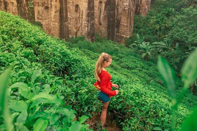 Private Lipton'S Seat, Haputale, Diyaluma Falls Tour From Ella  - Galle - Pricing and Booking Details