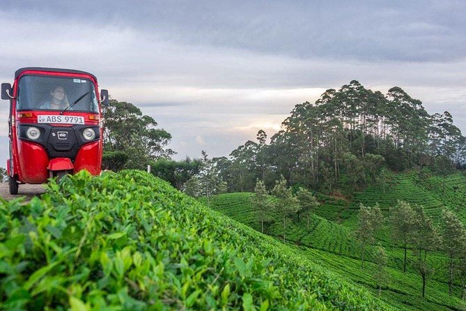 Private Lipton'S Seat, Haputale, Diyaluma Falls Tour From Ella  - Galle - Transportation Options and Guide