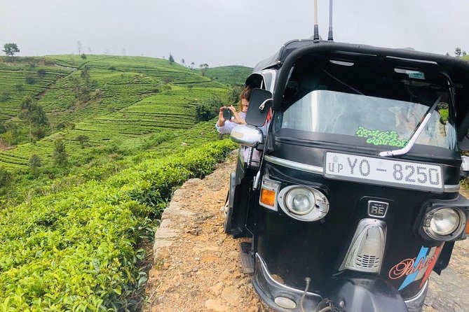 Private Lipton'S Seat, Haputale, Diyaluma Falls Tour From Ella  - Galle - Reviews and Ratings
