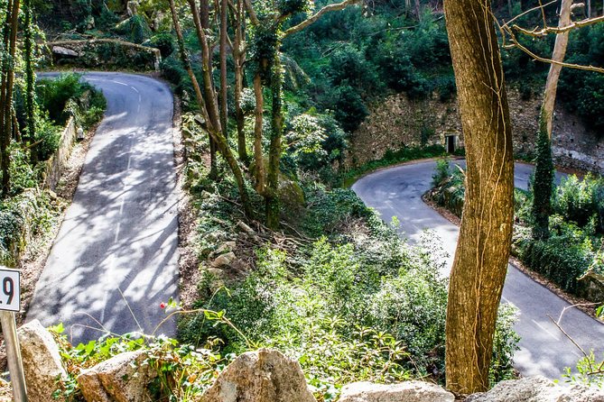 Private Lisbon Family Tour - Magic,Simple and Fun - The Sum Up