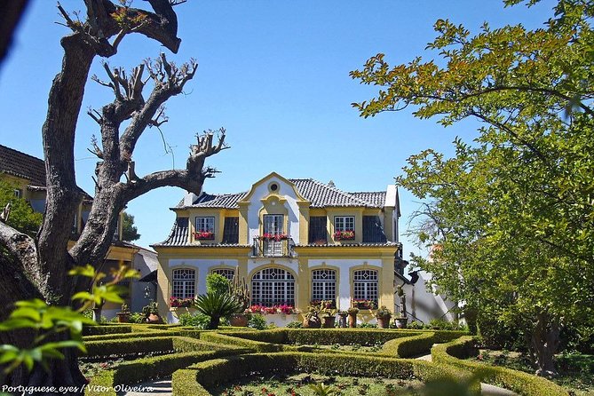 Private Lisbon Wine Tasting Tour in the Setubal Region - Tour Highlights