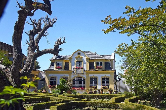 Private Lisbon Wine Tasting Tour in the Setubal Region - Setubal Region Highlights