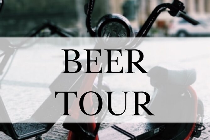 Private Live-Guided E-Scooter TOURS Around Prague - Cancellation Policy