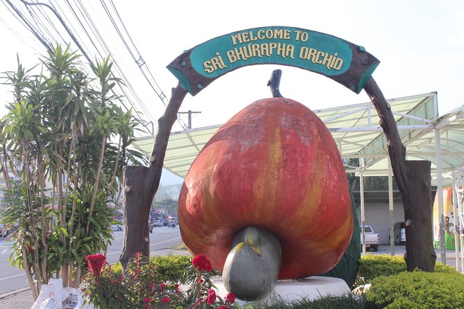Private Local City Tour With English Speaking Driver - Pricing and Guarantee