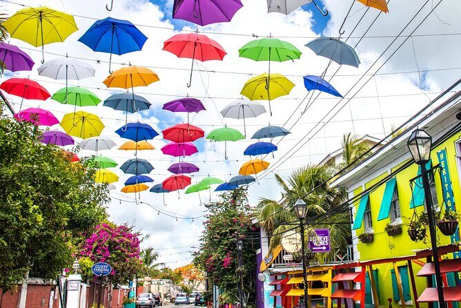 Private Local Flavors and Artisan Tour of Nassau - Exploring Nassau’s Hidden Flavors and Artisans: A Balanced Look at the Private Tour