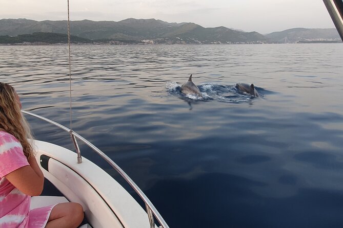 Private Local Guided Speedboat Tour in Dubrovnik Archipelago - Cancellation Policy