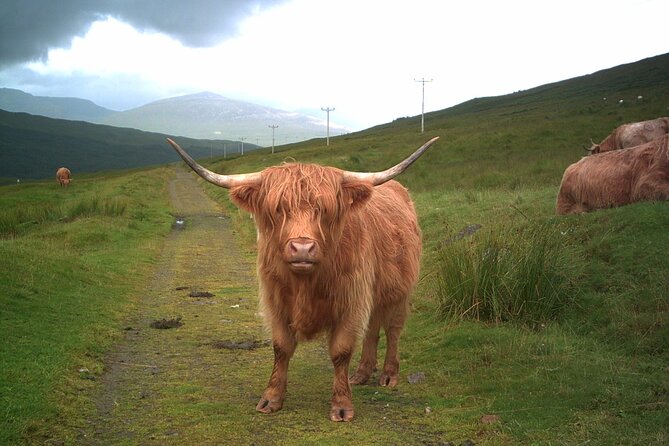 Private Loch Ness Glencoe and The Highlands Tour - Tour Information