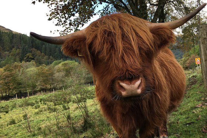 Private Loch Ness & Glencoe Day Trip From Edinburgh - Questions and Help