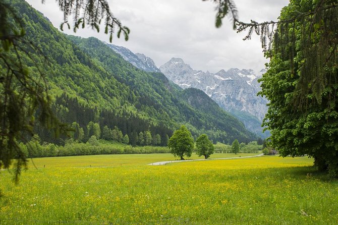 Private Logar Valley & Alpine Fairytale Tour From Ljubljana - Good To Know