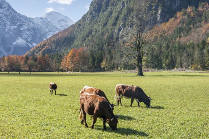 Private Logar Valley & Alpine Fairytale Tour From Ljubljana - Additional Information