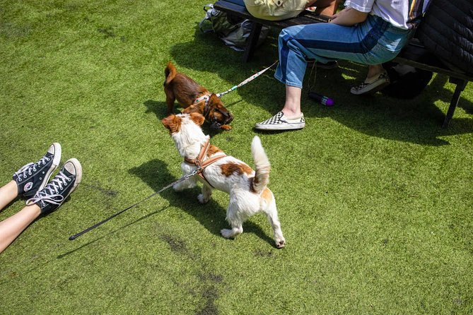 Private London Street Photography Workshop - The Sum Up