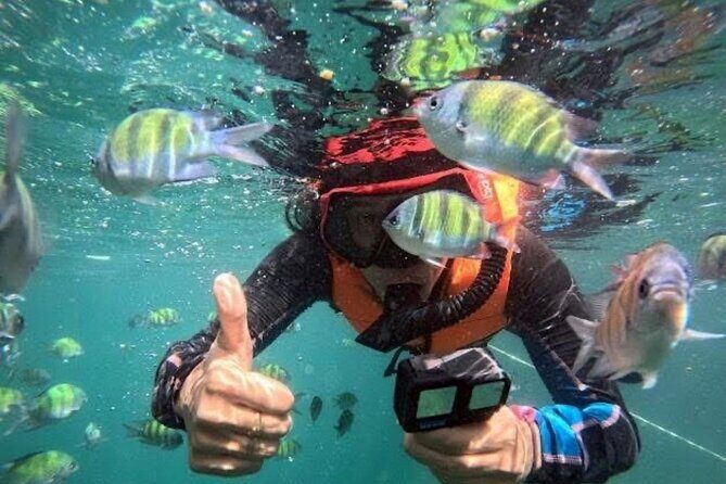 Private Longtail Boat Day Trip to Trang 4 Islands - The Experience: What Youll Really Get