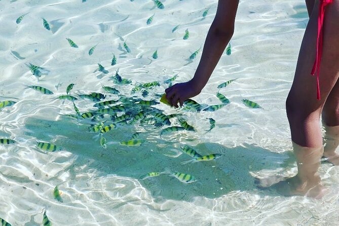 Private Longtail Boat Tour to Hong Islands - Common Questions