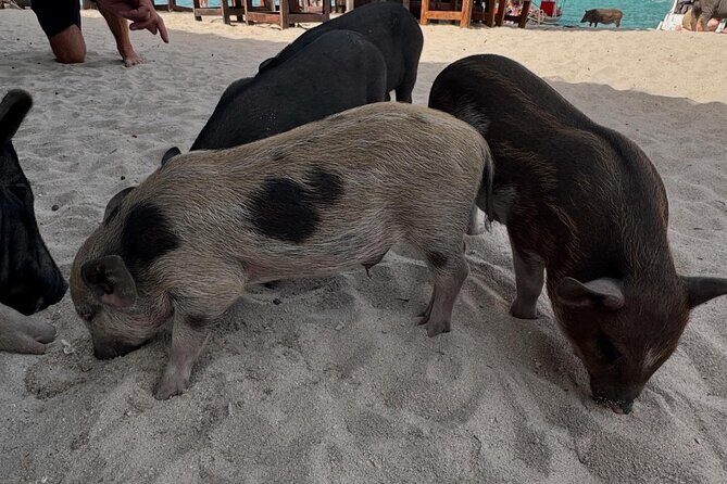 Private Longtail Boat Tour to Koh Madsum & Koh Tan - Practical Tips for a Smooth Experience