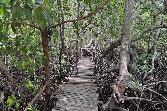 Private Longtail Boat Tour to Koh Madsum & Koh Tan - Authentic Experiences from Reviewers