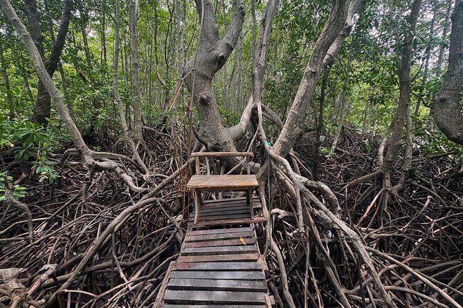 Private Longtail Boat Tour to Koh Madsum & Koh Tan - Final Thoughts