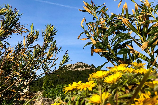 Private Lopud Walking Tour - Frequently Asked Questions