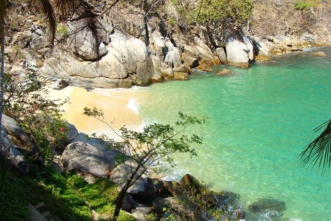 Private Los Arcos Snorkel and Beach Tour From Puerto Vallarta - Meeting and Pickup Information