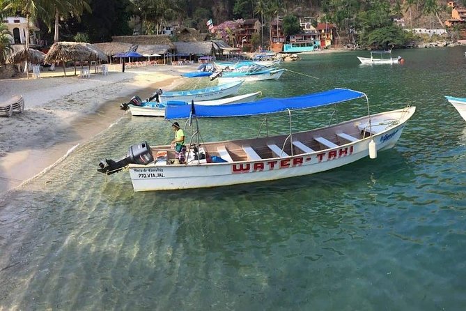 Private Los Arcos Snorkel and Beach Tour From Puerto Vallarta - Additional Information