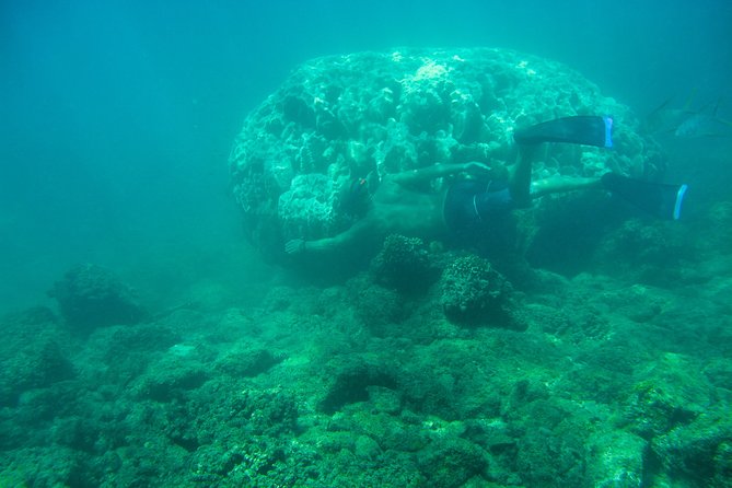 Private Los Cabos Snorkeling Tour to Chileno Bay and Santa Maria Cove - Additional Information